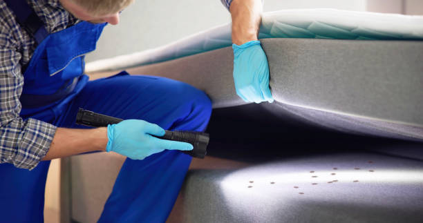 Best Pest Prevention Services  in Lyons, IL
