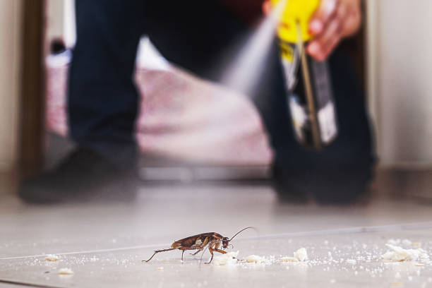 Best Cockroach Control Services  in Lyons, IL